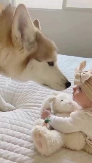 Bruna Lombardi Instagram - O amor sereno, verdadeiro e mais profundo.

Via: @fur.friends3
#animals #dog
#love #kids