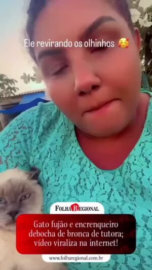 Bruna Lombardi Instagram - Treta!

#animais
#gato
#humor