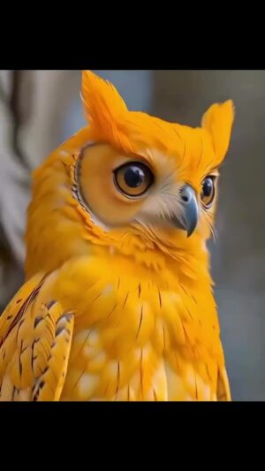 Bruna Lombardi Instagram - Quem mais adora coruja?

#coruja
#animals
#aves
#fofura