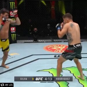Bruno Silva Top 25 Instagram Photos and Posts