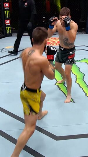 Bruno Silva Instagram - #ufc #mma #bonusbulldog #viral