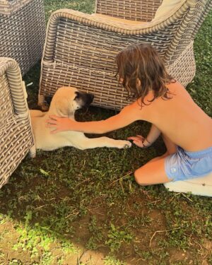 Bülent Şakrak Instagram - Tanıştılar ,anlaştılar ,kaynaştılar.. 🧿
#oğlumali
#yasayıgeriçek
