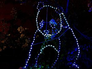 Camden Gray Instagram - // zoolights 2024🥳 #phxzoo #zoolights