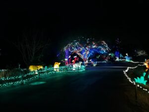 Camden Gray Instagram - // zoolights 2024🥳 #phxzoo #zoolights