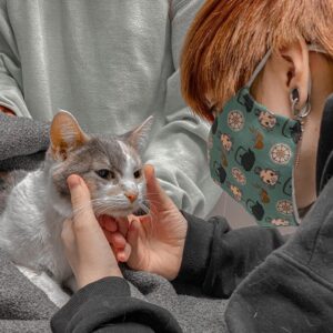 Camden Gray Instagram - // You lived your 9 lives here with me, my loyal, loving best friend. Then Apollo took you up to live life number 10. I’ll bet you’re peacefully laying upon his lap; purring there, without a care, having a heavenly nap. I’ll miss you for a while but our friendship will not end. Time will pass, and then at last, you’ll be on my lap again🐾💗 #catsofinstagram #sadtweets