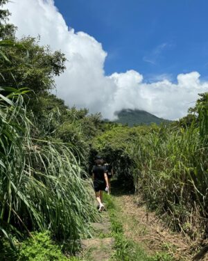 Carina Lau Instagram - 樹在 山在  快樂在！