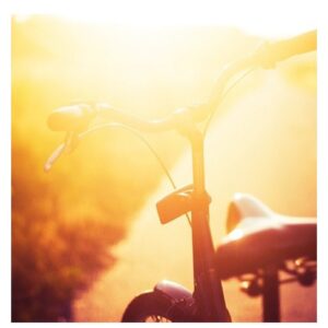 Carlos Nóbrega Instagram - Rutas escondidas. Atardeceres bonitos. ⠀
🚲🌅🌲🌳⠀
⠀
⠀
⠀
⠀
#nature #naturephotography #sun #sol #sunsets #sunsetphotography #pordosol #bici #bicicleta #bicicletas #paseo #fryay #friyay #viernes #friday
