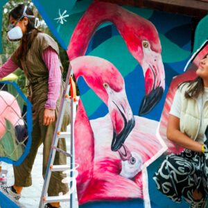 Carol Wang Instagram - Arte da família de Flamingos , eles nascem cinzinhas e ficam cor de rosa 💕🦩🥹🎨 e tem varios aqui no @zoosaopaulo 
.
.

#flamingo #mural #graffiti #pintura #desenho #artes