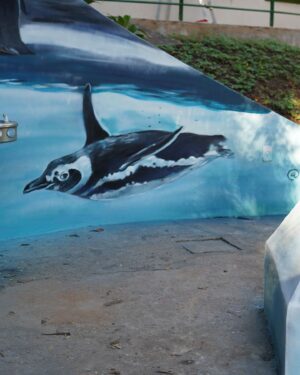 Carol Wang Instagram - Esse foi o resultado da arte para a chegada dos pinguins no @zoosaopaulo 🐧🫶🏻🩵 a partir de amanhã será possível visitar eles e a arte ☺️🎨
.
#pinguim #zoologico #animal #mural #graffiti #art