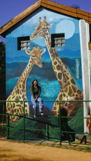 Carol Wang Instagram - Esse foi o processo do mural das girafas em homenagem ao Palito e a Mel 🦒💛✨🎨 pronto para vocês visitarem no @zoosaopaulo :) 
.
#arte #girafa #mural #graffiti #pintura