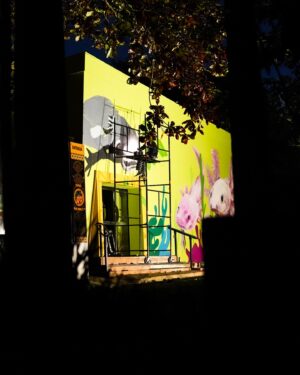 Carol Wang Instagram - Estou pintando a nova casa dos Axolotes aqui no Zoológico de São Paulo. 😊
Alem de poder ver vários deles aqui, tem muita curiosidade e informações sobre os Axolotes que farão vocês se apaixonar por eles também ..
💖. Este é o processo da arte  e vocês ja podem vir visitaaar ! 🫶🏻
.
#axolote #arte #mural #graffiti