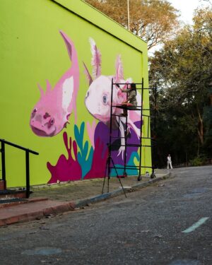 Carol Wang Instagram - Estou pintando a nova casa dos Axolotes aqui no Zoológico de São Paulo. 😊
Alem de poder ver vários deles aqui, tem muita curiosidade e informações sobre os Axolotes que farão vocês se apaixonar por eles também ..
💖. Este é o processo da arte  e vocês ja podem vir visitaaar ! 🫶🏻
.
#axolote #arte #mural #graffiti