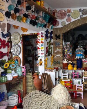 Carolina Torres Instagram - Volta ao mundo em pelicano