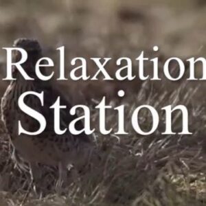 Caroline Grossman Instagram - What’s your favorite meditation pose? Mine is sitting in shower and trying to see if I can drown myself by looking up.