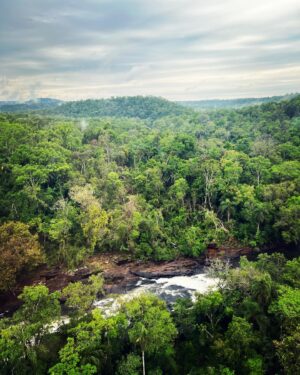 Ceallach Spellman Instagram - A couple of weeks ago, I had the incredible opportunity & privilege to explore the Atlantic Forest in Brazil & Argentina with the amazing teams from @wwf_uk @wwfbrasil @oncasdoiguacu @proyectoyaguarete 🐾
 
Words capture how special and inspiring my time was over there. Pure magic ✨

The love, passion and dedication I saw & felt from the team was something that will stay with me forever. They work tirelessly, all year round, to protect this vital forest habitat for all the wildlife & plants that call it home and in turn, us. 

WWF recently unveiled the groundbreaking Forest Pathways Report, looking at the health and current state of the worlds Forests. 

It features a case study from the area I visited. The Atlantic Forest, a lush, rich, diverse tropical haven in South America, is in grave danger, with 76% of its original forest cover already lost.

Safe to say it doesn’t make for happy reading BUT it shows there is are pathways open to protecting and restoring our crucial forests & their eco systems around the world. 

There’s time and there’s still hope. Together, we can bring our world back to life and change the world. 

 I came back feeling even more inspired and committed to do all I can. More photos and videos from my trip and time in Brazil to come ✌🏼💚

#ForestPathways #WWF