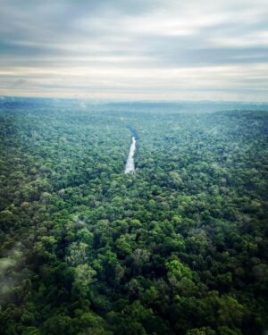 Ceallach Spellman Instagram - A couple of weeks ago, I had the incredible opportunity & privilege to explore the Atlantic Forest in Brazil & Argentina with the amazing teams from @wwf_uk @wwfbrasil @oncasdoiguacu @proyectoyaguarete 🐾
 
Words capture how special and inspiring my time was over there. Pure magic ✨

The love, passion and dedication I saw & felt from the team was something that will stay with me forever. They work tirelessly, all year round, to protect this vital forest habitat for all the wildlife & plants that call it home and in turn, us. 

WWF recently unveiled the groundbreaking Forest Pathways Report, looking at the health and current state of the worlds Forests. 

It features a case study from the area I visited. The Atlantic Forest, a lush, rich, diverse tropical haven in South America, is in grave danger, with 76% of its original forest cover already lost.

Safe to say it doesn’t make for happy reading BUT it shows there is are pathways open to protecting and restoring our crucial forests & their eco systems around the world. 

There’s time and there’s still hope. Together, we can bring our world back to life and change the world. 

 I came back feeling even more inspired and committed to do all I can. More photos and videos from my trip and time in Brazil to come ✌🏼💚

#ForestPathways #WWF