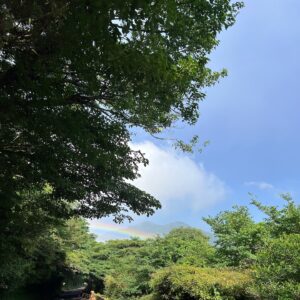 Cecilia Choi Instagram - 台北的愛有海鹽焦糖拿鐵有海有彩虹有貓有王菲有青菜園有最棒魯肉飯有龍蝦意大利麵有生日蛋糕有威風蛋糕有麻辣火鍋
