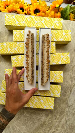 Cédric Grolet Instagram - 🍪🍦Cacahuète, Amande, Noisette, Noix de pécan ! Exclusivement pour #sainttropez #cedricgrolet 🌻