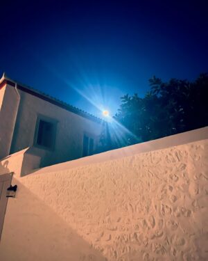 Celina Sinden Instagram - Night swimming and Dakos. Yassas Athens, Hydra and Spetses.