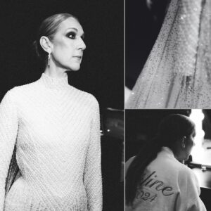 Céline Dion Instagram - “There is no magic in magic, it’s all in the details.”✨

📸: @laurag_photo