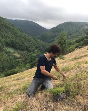 Cemil Şahin Instagram - Dağ kekiği 🍃 köy 👻