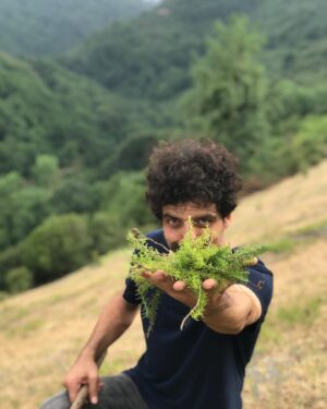 Cemil Şahin Instagram - Dağ kekiği 🍃 köy 👻