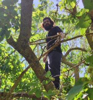 Cemil Şahin Instagram - 🌳🍃👻
