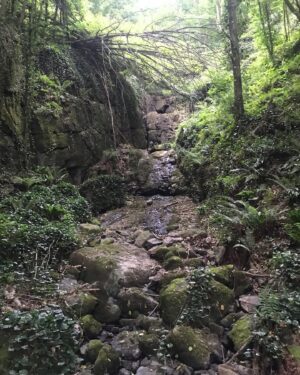 Cemil Şahin Instagram - Köy 🌳🍃