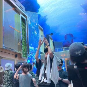 Chae Jung-an Instagram - 新여성의 신문물 체험🌌🐳