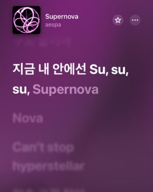 Chang Jayapol Chiopittayakarn Instagram - Sususu supernova 💥- #aespa