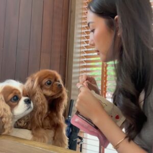 Chanoksuda Raksanaves Instagram - 🐶