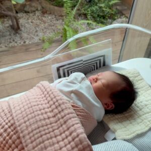Chantel Liu Instagram - 房子裡有剛剛誕生的小生命，陽台樹枝上有待孵化的新生命。這一切都是如此的美好，讓人歡欣雀躍。

但是觀察幾日，都沒有看到鳥爸爸、鳥媽媽飛來，是因為近日的午後暴雨讓你們在某處遮風擋雨嗎？希望你們能平安歸來，希望這五個小生命能茁壯成長、安康快樂。