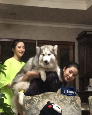 Charada Imraporn Instagram - บ๊ายบาย บ้านที่สร้างความทรงจำมากมายให้กับพวกเรา❤️🏡 ขอบคุณที่คอยเป็นบ้านที่ให้เราได้กลับมาพักผ่อนเสมอนะ คงไม่ได้กลับมาหาแล้วฝากดูแลและขอให้มีความทรงจำดีๆกับเจ้าของใหม่นะ🫶🏼