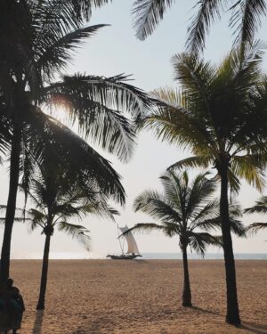 Charlène Bey Instagram - ✨🇱🇰 SRI LANKA DREAM 🇱🇰✨ 
1. Pinch me 🤏🏻
2. La magnifique plage du @jetwingblue 
3. Point de vue Kandy Lake 
4. Sunset 🌅 
5. 06:30 yoga session 🧘🏻‍♀️ 
6. J’ai pas su faire de choix pour le breakfast je suis au paradis de la nourriture épicée 🌶️✨
7. La vue du resto Aloy 🥹
8. La teaaaam @destination_srilanka 
(ici on sait accueillir 🫶🏻💞)

Je vous partage tout ça en story & en story à la une 😭💞🫶🏻
Qui est déjà venu ici je suis déjà in love 🌴☀️🌊??? 

#visitsrilanka #youwillcomebackformore #destinationsrilanka #helawedakama #srilankatravel #srilankatrip #srilanka #srilanka🇱🇰