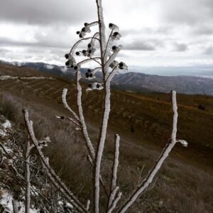 Charles Halford Instagram - Breaking the law.  I shot the ish outta the place. I just wish you could smell these photos.  #autumn #utah #skyline #color #nature #freshair #decay #fall #winteriscoming
