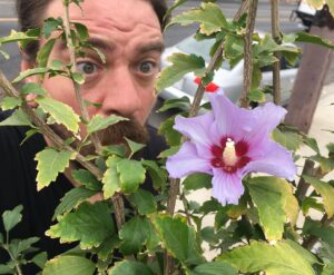 Charles Halford Instagram - #Flower
#Befuddled
#confounded 
#amazing 
#color 
#magentacrushmonday