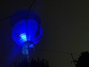 Charles Halford Instagram - Blue light.