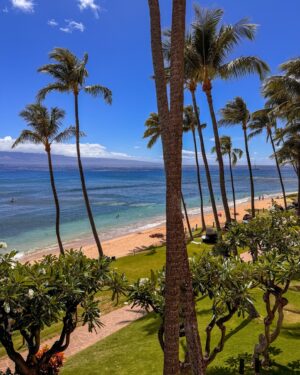 Charlie Bushnell Instagram - Thank you #HyattMaui for making my first trip to Hawaii unforgettable ❤️