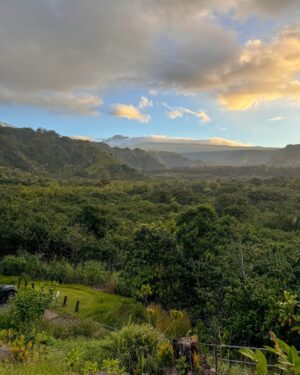 Charlie Bushnell Instagram - Thank you #HyattMaui for making my first trip to Hawaii unforgettable ❤️