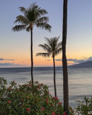 Charlie Bushnell Instagram - The best sunsets #HyattMaui