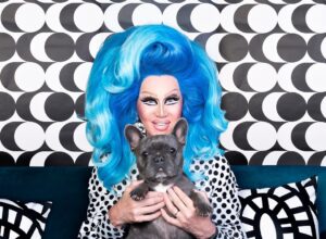 Charlie Hides Instagram - Take Your Dog To Work Year. Being forced to work from home and isolate for the past year has been stressful but the bright side has been having this little guy as my constant companion.  No matter how bad the headlines have been, he's perpetually cheerful and the perfect tonic for depression and loneliness. #charliehides wig by @_herrflorian_  styled by @janegagewigshairmakeup  photo by James Hides #dragqueen #dragqueensofinstagram #rupaulsdragrace #rpdr #bluewigs #dragqueenbingo #frenchbulldog #frenchiesofinstagram #dragqueenandtheirdogs