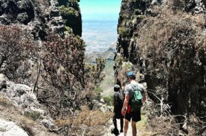 Charlotte Hope Instagram - End of year part 2 - table mountain, @babylonstoren, Mitchell’s plain and Noordhoek