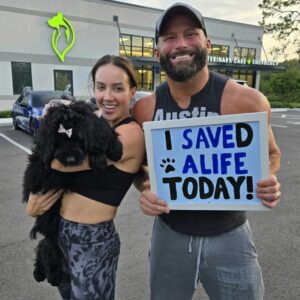 Chelsea Cardona Instagram - Welcome home Paisley 🎀 
Please swipe to read her story. 
@save_a_life_pet_rescue @oviedovetcare