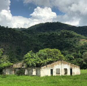 Chiara Gadaleta Instagram - A NATUREZA segue! 
Tenho pensado bastante na capacidade de REGENERAÇÃO da natureza. De como ela se RECOMPÕE mesmo com todas as dificuldades, obstáculos e danos.
Resiliente, obstinada, pragmática. Tudo tem lugar certo na natureza. Nada de desperdício.
O tempo da natureza é o dos ciclos vitais, tudo nasce, morre e volta com função específica para continuar. 
Continuar. 
A linguagem da natureza é simples. A gente que ficou preguiçoso e muito ocupado para ouvir, escutar.
Continuar.
A mensagem é clara. 
Continuar.
Bom domingo !
#natureza
#ecoera
#doeuparaonós 
#vivermelhorcommenos 
#sustentabilidade