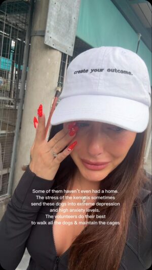 Chloe Veitch Instagram - Comment underneath if you would like more info on how to sign up. Whether you would like to foster/adopt or volunteer. 🐶