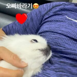 Choi Ji-man Instagram - #오빠바라기 ❣️