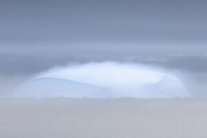 Chris Packham Instagram - Landscape 5 , Antarctica , Canon 5D SR , 500mm F4 #canon #canonuk #wildlife #birds #antarctica #exodustravels