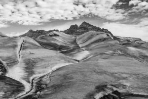 Chris Packham Instagram - I’ve been shooting some Infra Red for the past few years . I thought I’d post some . . . #canon #canonphotography #canonuk #wildlifephotography #nhm_wpy