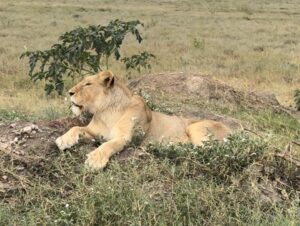 Christian Convery Instagram - Some photos from Tanzania 🇹🇿   Spark 🐶