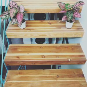 Christopher Larkin Instagram - Day 20: Lady Valentine in stereo, running down the stairs. #plants #alltheplantsinmyapartment